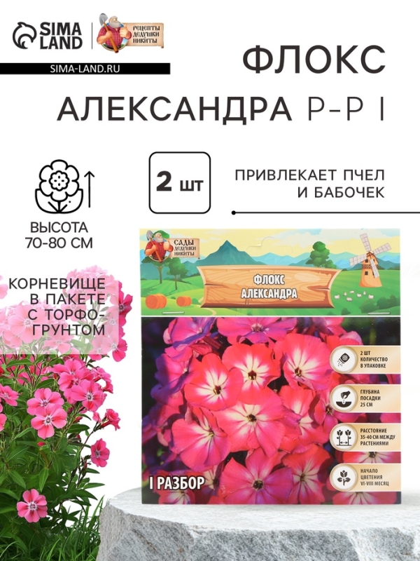Флокс &laquo;Александра&raquo; корневище в пакете с торфогрунтом, р-р I, 2 шт.