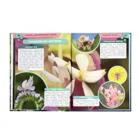 Энциклопедия &laquo;Аксолотль. Самые удивительные животные&raquo; 405007