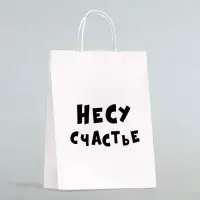 Пакет подарочный &laquo;Несу счастье &raquo;, 24&times;14&times;28 см