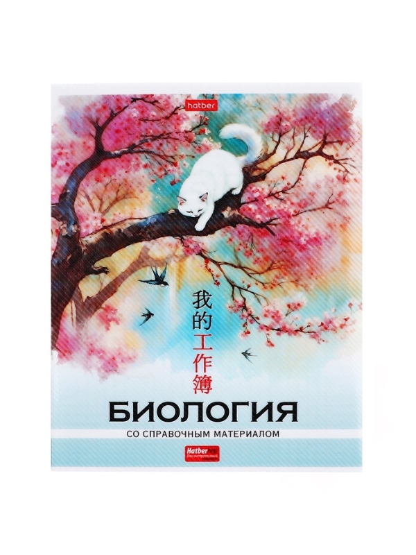 Комплект предметных тетрадей 48 листов, 12 предметов Hatber &laquo;Искусство Азии&raquo;, пластиковая обложка с печатью, тиснение фольгой, с интерактивным сп...