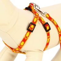 Комплект "Большая лапа", ширина 1 см, поводок  120 см, шлейка 25-36 см, оранжево-жёлтый