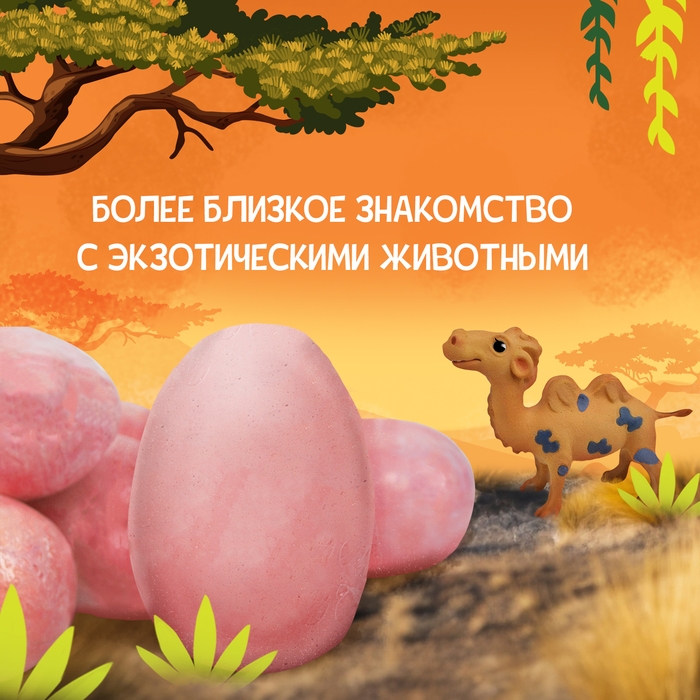 Набор для раскопок &laquo;Мир зверей&raquo;