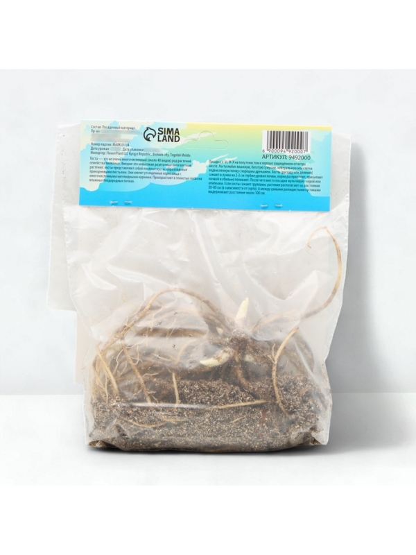 Хоста Undulata Mediovariegata, корневище в пакете с торфогрунтом, р-р I, размер M,1 шт.