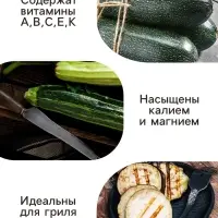 Семена Кабачок цукини "Зебра", 2 г