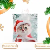 Пакет &laquo;Пушистое ожидание&raquo;, полиэтиленовый с петлевой ручкой, 42&times;38 см