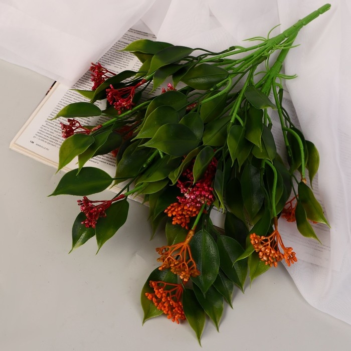 Букет Букет "Хойя публикалис" 32 см, микс