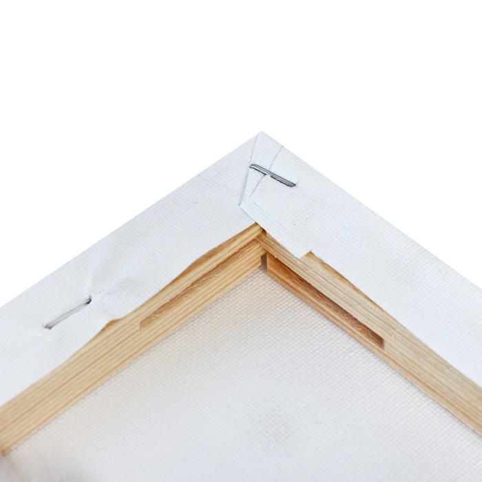 Холст на подрамнике, хлопок 100%, 1,6 х 24 х 30 см, акриловый грунт, мелкозернистый, 280 г/м&sup2;