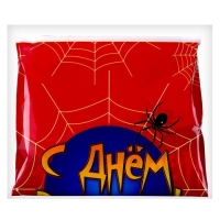 Набор для праздника &laquo;С днём рождения. Паутина&raquo;