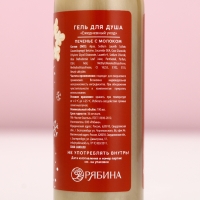 Подарочный набор косметики &laquo;Чудес в Новом Году!&raquo;, гель для душа 100 мл и бомбочка для ванны 40 г, ЧИСТОЕ СЧАСТЬЕ