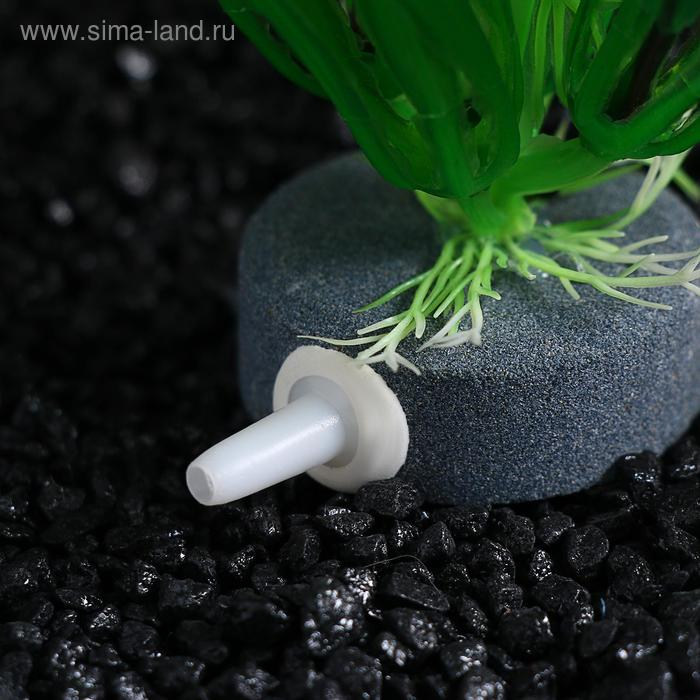 Растение искусственное Растение искусственное