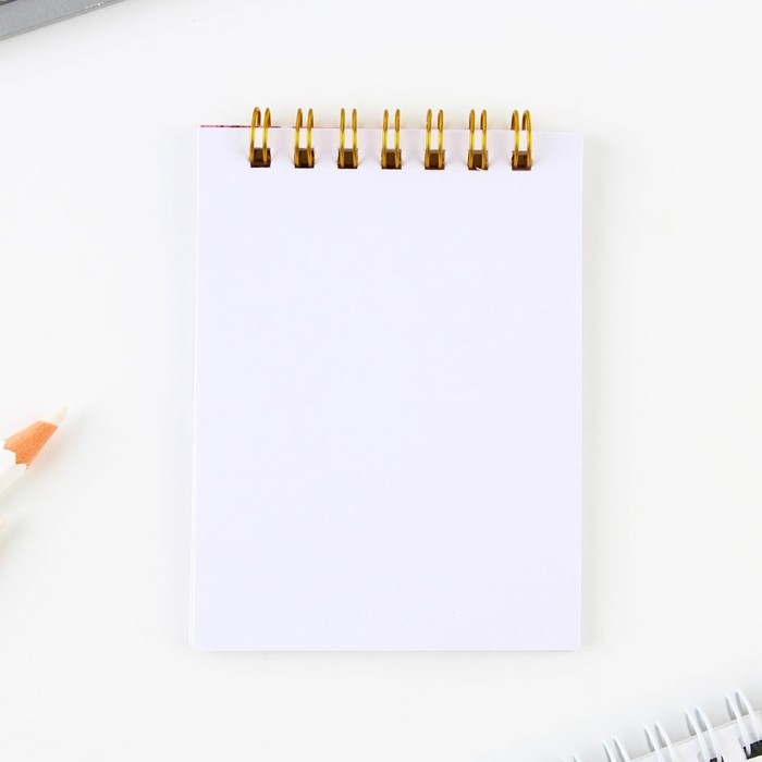 Подарочный набор блокнот &laquo;Лучшему воспитателю&raquo; формат А7, 32 листа, ручка пластик,синяя паста