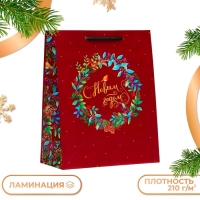 Новый год. Пакет подарочный "С Новым годом красный", 26 х 32 х 12 см.