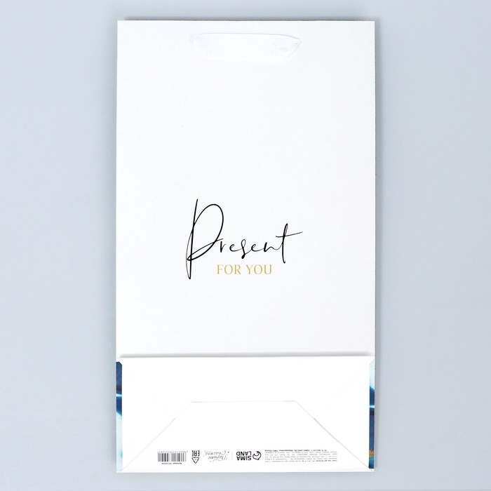 Пакет подарочный под две бутылки, упаковка, &laquo;Present for you&raquo;, 35 х 20 х 9 см