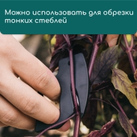 Инструмент для обрезки, Greengo