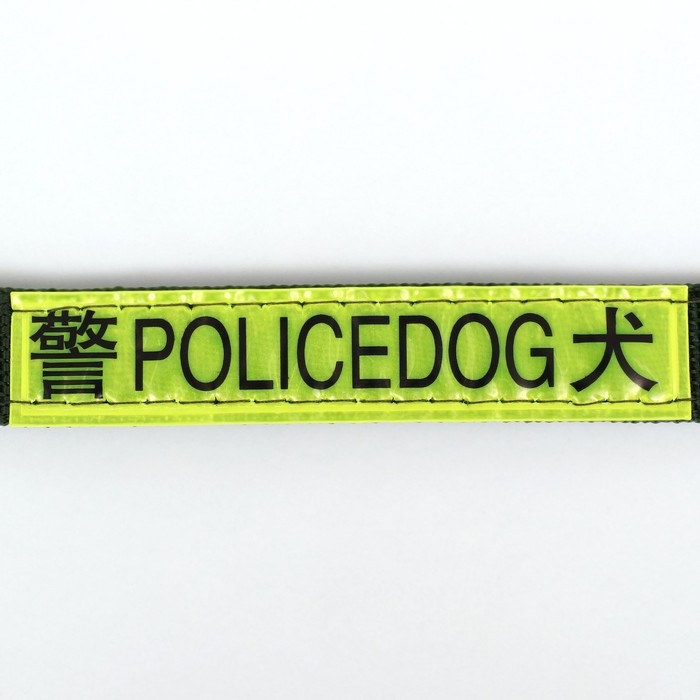 Ошейник двухслойный с вертлюгом, 3 см, зелёный