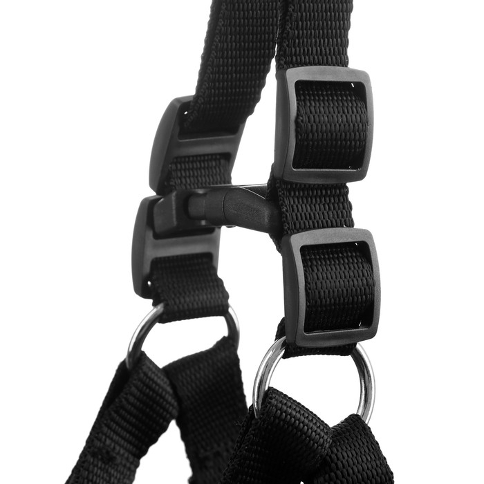 Шлейка "Комфорт" комбинированная, 2 см, ОШ 38-55 см, ОГ 40-60 см, чёрная