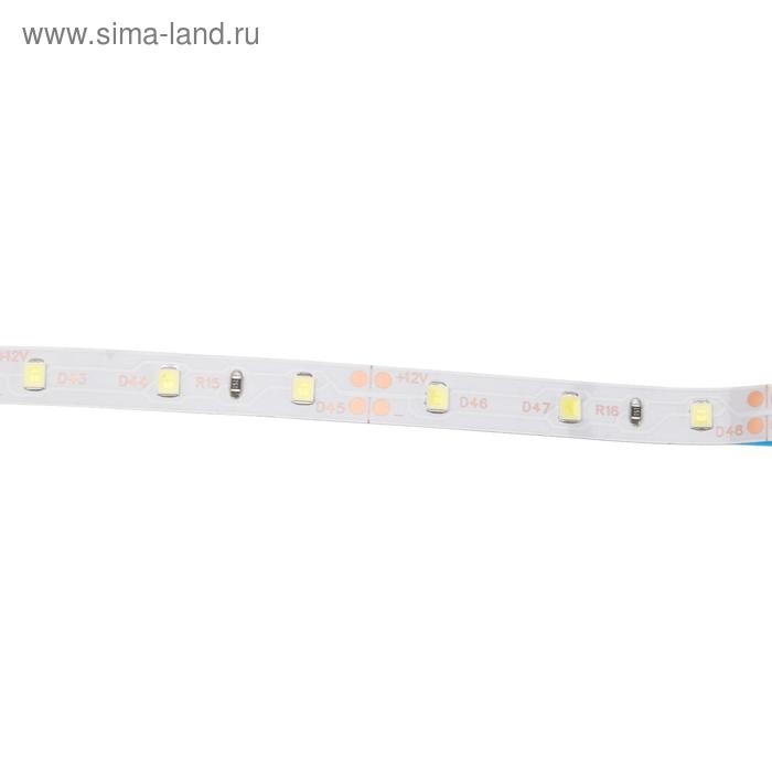 Светодиодная лента Ecola STD 5 м, IP20, SMD3528, 60 LED/м, 4.8 Вт/м, 12 В, 6000К