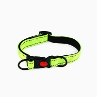Ошейник с подкладом из нейлона с фастексом 2,5 см, ОШ 31-48 см, зелёный Ошейник с подкладом из нейлона с фастексом 2,5 см, ОШ 31-48 см, зелёный