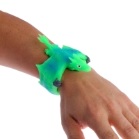 Браслет &laquo;Дракон&raquo;, цвета МИКС