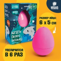 Растущие животные в яйце &laquo;Акула&raquo; МИКС