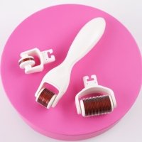 Массажер мезороллер &laquo;Вдохновляй красотой&raquo;, со сменными насадками, 10 х 17 см