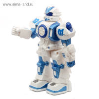 Робот радиоуправляемый &laquo;Шунтик&raquo;, голосовое управление, световые, звуковые эффекты, русское озвучивание