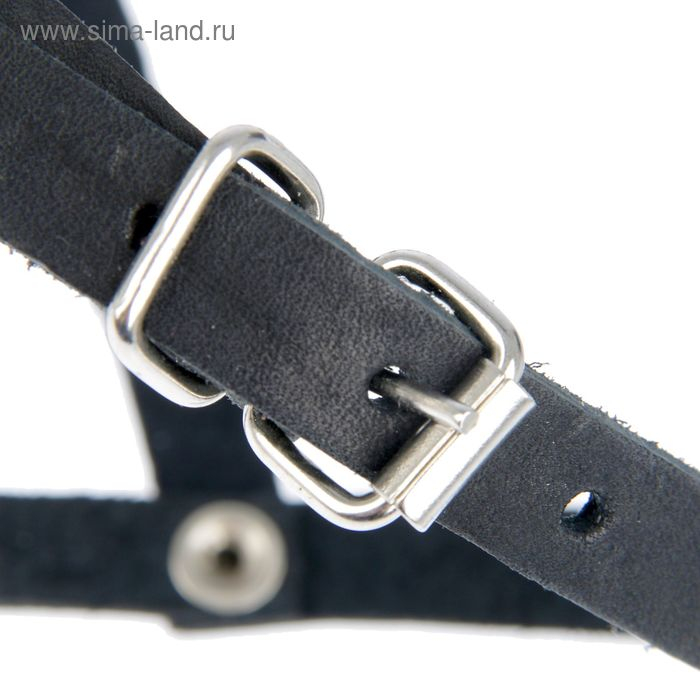 Намордник кожаный Зооник №С, стаффорд (длина по носу 9,5 см, обхват морды 32 см), микс Намордник кожаный Зооник №С, стаффорд (длина по носу 9,5 см, обхват морды 32 см), микс