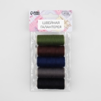 Набор ниток &laquo;Тёмный лес&raquo;, 40/2, 200 м, 5 шт, цвет разноцветный