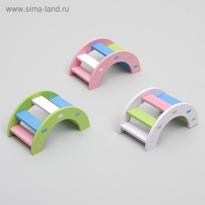 Лесенка для грызунов полукруглая, микс цветов Лесенка для грызунов полукруглая, микс цветов