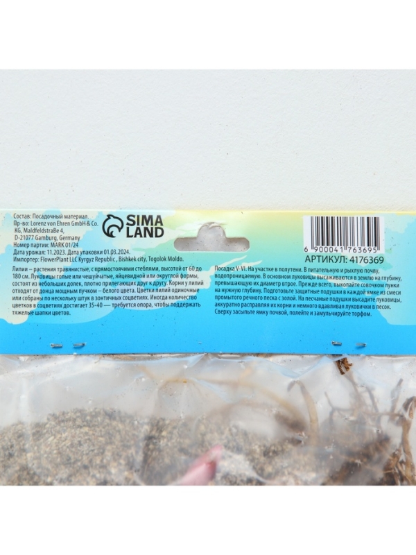 Лилия Восточная &laquo;Дабл Мэджик Стар&raquo;, луковица в пакете с перфорацией, р-р 12/14, 3 шт.