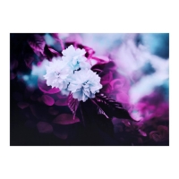 Картина на холсте "Белые цветы в розовых тонах" 50*70 см Картина на холсте "Белые цветы в розовых тонах" 50*70 см