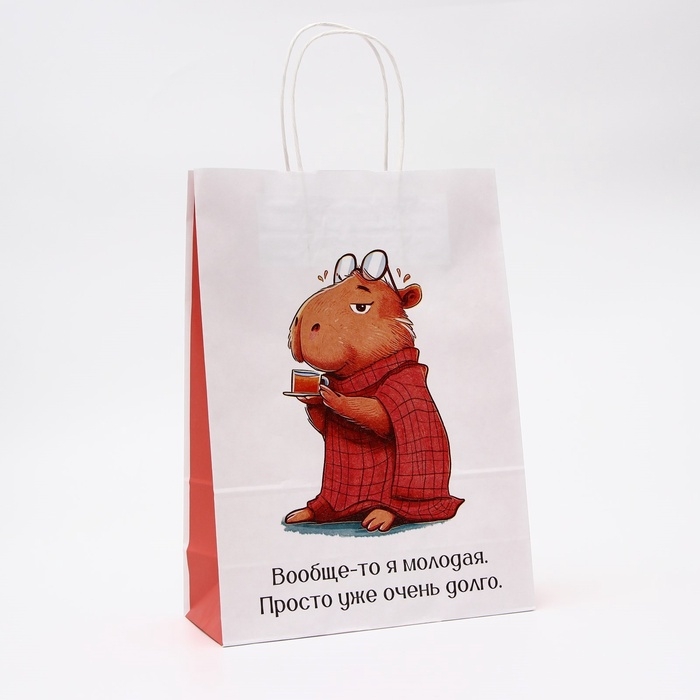 Пакет бумажный, "Молодая", 24 х 10,5 х 32 см 1 шт