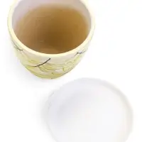 Горшок цветочный поддоном  1 л,  керамика, Тропики (М)