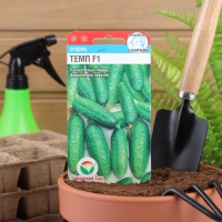 Семена Огурец Темп F1,партенокарпический, 5 шт Семена Огурец Темп F1,партенокарпический, 5 шт