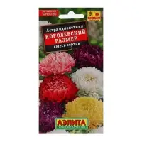Набор семян Астра "Королевский размер", смесь окрасок, О, 5 шт.