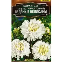Семена цветов Бархатцы Ледяные великаны прямостоячие  Золотая серия, Ц/П,7 шт.