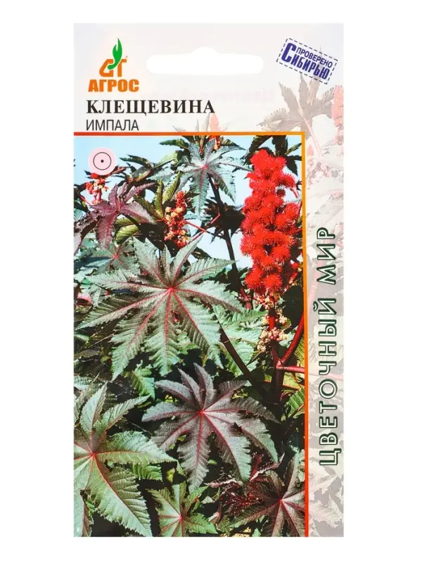 Семена Клещевина "Импала" 4 шт