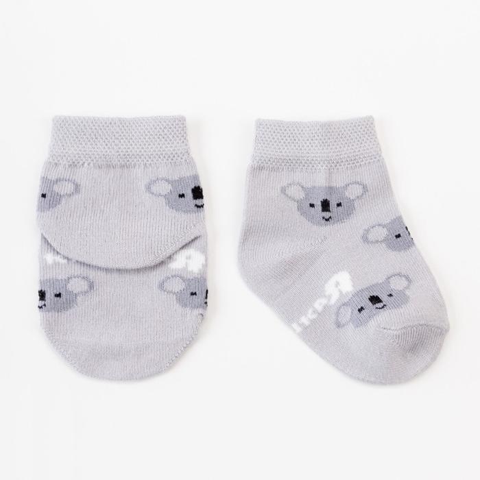 Набор носков Крошка Я &laquo;Коала&raquo;, 2 пары, 6-8