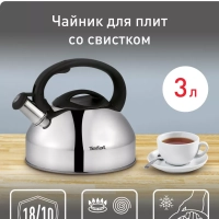 Чайник для плиты из нержавеющей стали C7922024, 3 л