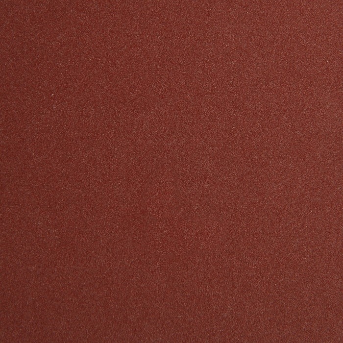 Круг абразивный шлифовальный под Круг абразивный шлифовальный под "липучку" ТУНДРА, 125 мм, Р180, 10 шт.