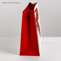 Пакет подарочный ламинированный вертикальный, упаковка, &laquo;Счастье моё&raquo;, ML 23 х 27 х 11,5 см