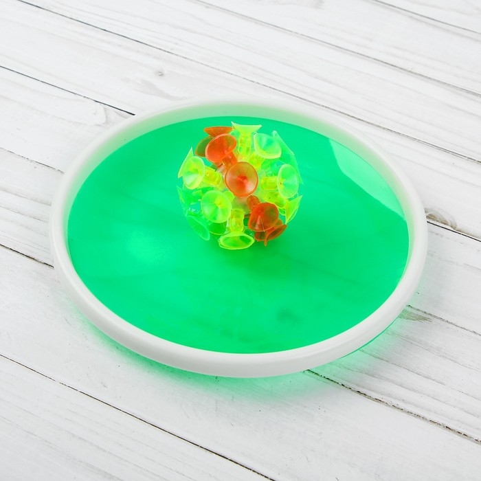 Игра &laquo;Липучка&raquo;, набор: 2 тарелки, мяч, цвета МИКС