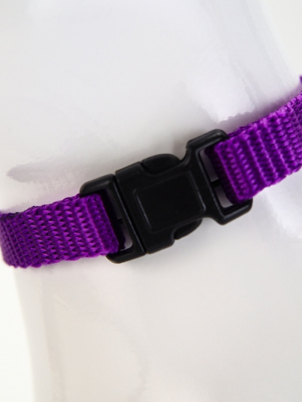 Комплект для кошек, ширина 1 см, ОШ 16,5-27 см, ОГ 21-35 см, поводок 120 см, фиолетовый