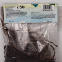 Хоста Canadian Blue, корневище в пакете с торфогрунтом, р-р I, размер SM,1 шт.