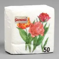 Салфетки бумажные Гармония цвета многоцветие "Тюльпаны", 24*24 см 50 листов