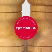 Набор для специй Доляна &laquo;Комфорт&raquo;, 50 мл, 11&times;10&times;5 см, 2 предмета: мельница, солонка