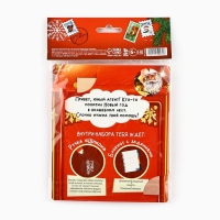 Подарочный набор новогодний &laquo;Служба секретной доставки&raquo;, блокнот А6 16 л, ручка пиши светом