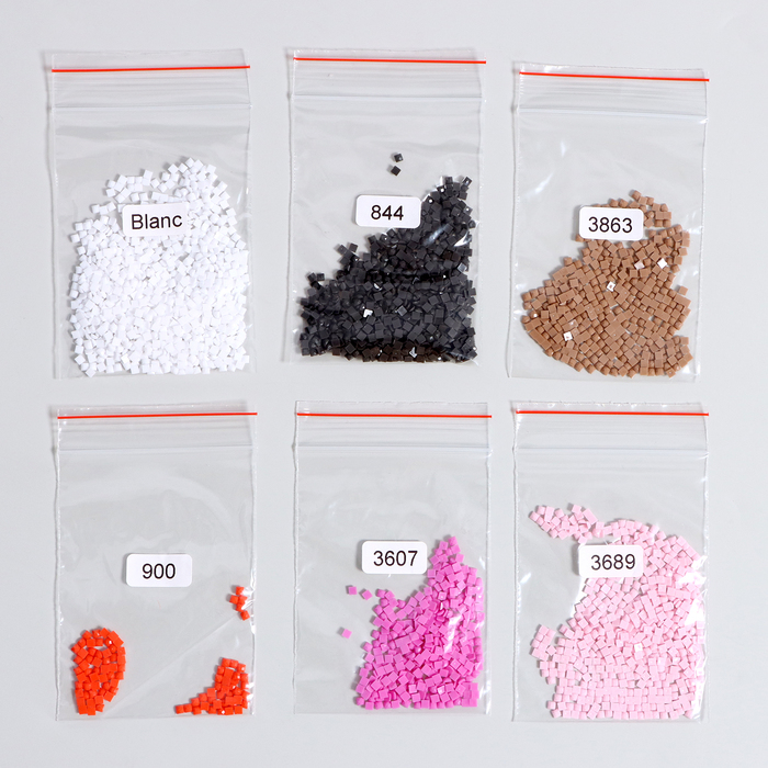 Алмазная мозаика &laquo;Весёлая панда&raquo;, 21 цвет