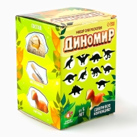 Набор для раскопок &laquo;Диномир&raquo;, гипсовое яйцо, инструменты, 5+