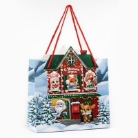 Пакет подарочный новогодний &laquo;Новогодний домик&raquo;, 25 х 27 х 10 см , Новый год